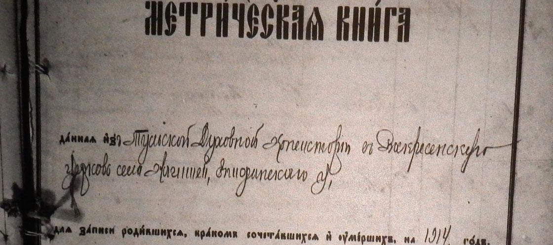 Метрическая книга Воскресенской церкви села Нагиши Епифанского уезда за 1914 год
